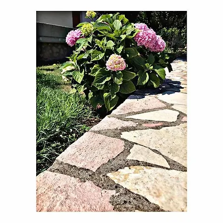 Belvedere & Apartment Himare