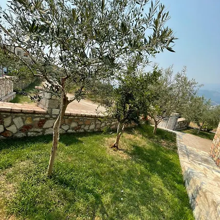 Apartment Belvedere & Himare