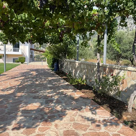 Belvedere & Apartment