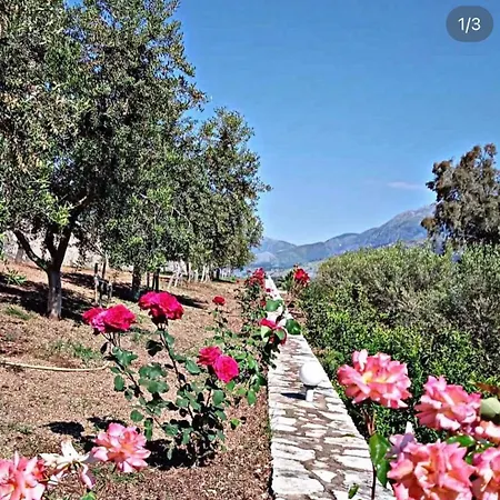 Belvedere & * Himare